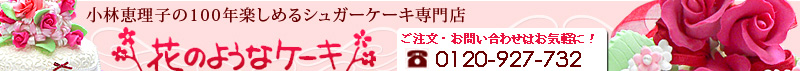 ���奬������������Ź[�֤Τ褦�ʤ��ˤ�������]