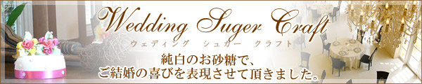 �����ǥ��󥰡����奬��������ե�