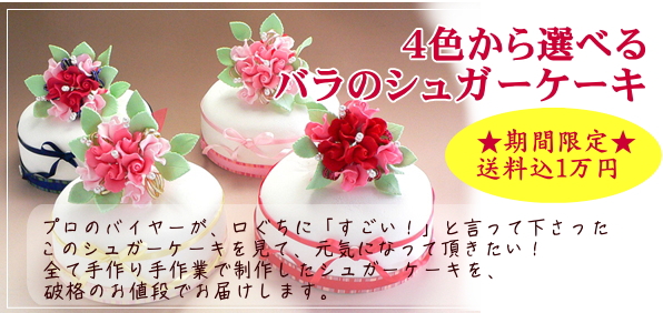 4���������٤�Х�Υ��奬��������