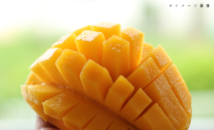 宝石型　浜松市産マンゴージャム